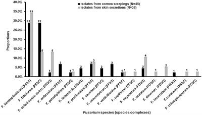 Comparison of molecular and MALDI-TOF MS identification and antifungal susceptibility of clinical Fusarium isolates in Southern China